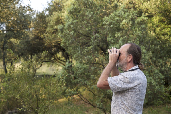 Observation des oiseaux dans le Refuge de la Sylve